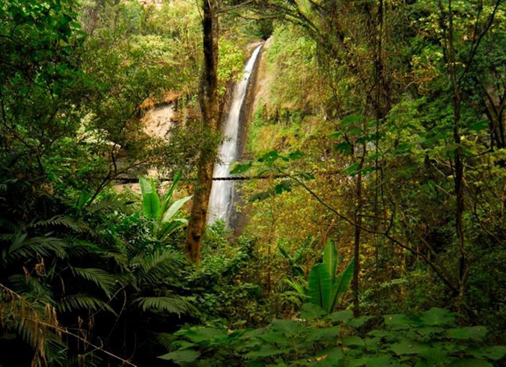 Reserva Natural Atitlan Panajachel Zewnętrze zdjęcie